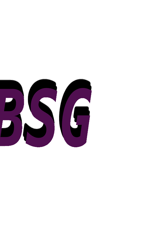 BSG
